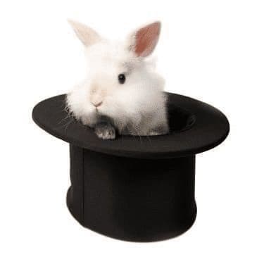 Magic White Rabbit in a Top Hat